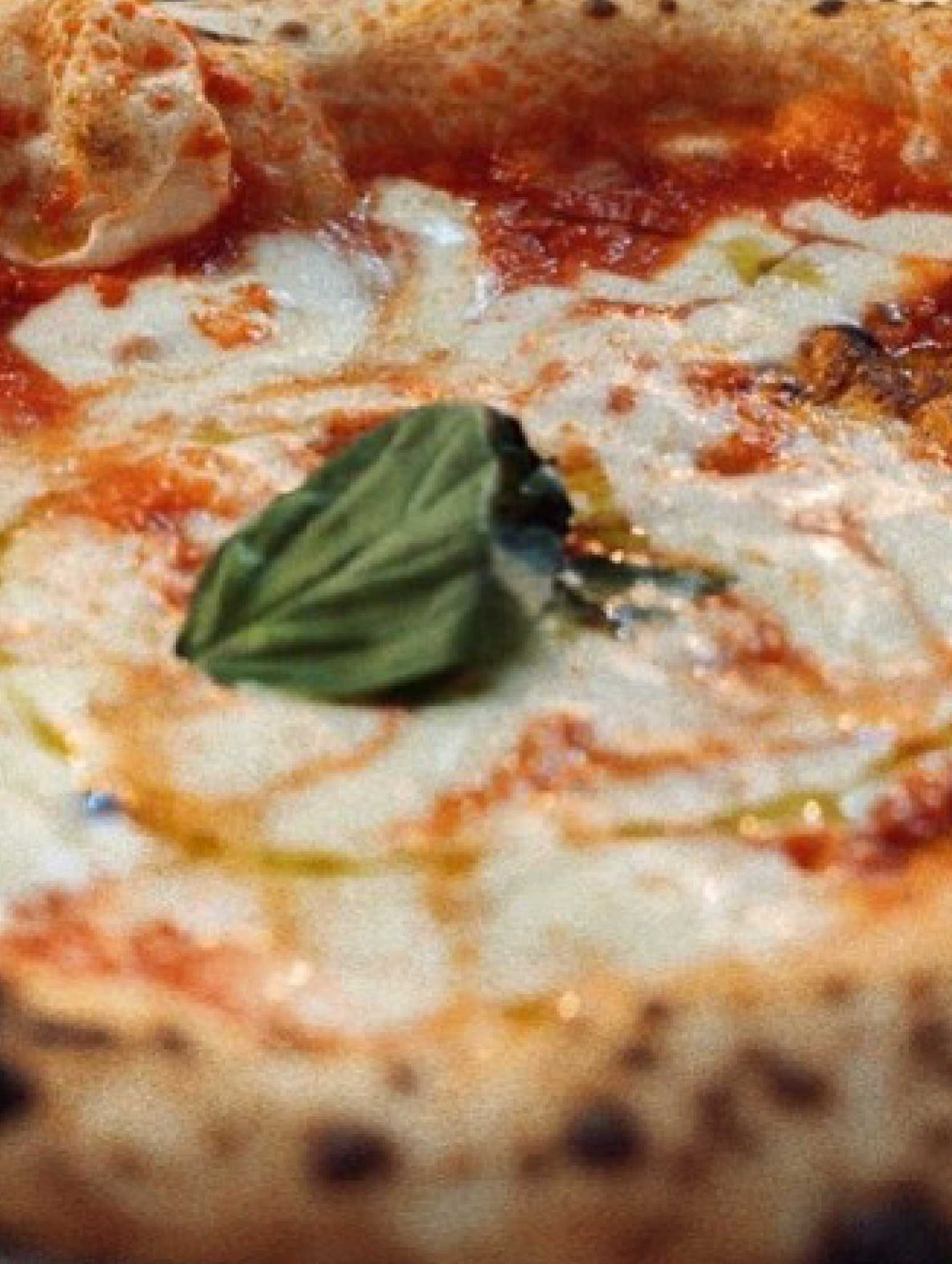Bellillo-Margherita