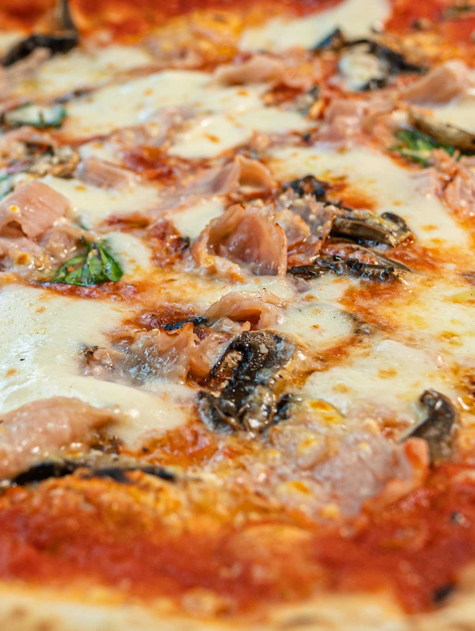 Madre-Lievito-Prosciutto-e-funghi